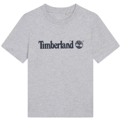 Short Sleeves Tee-shirt Timberland Chine Grey